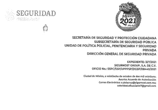 servicios de seguridad